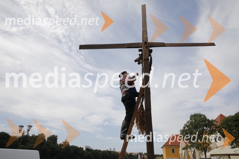 Svečana trgatev stare trte 2020