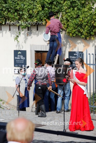  Neža Jarc, Mariborska vinska kraljica 2020Svečana trgatev stare trte 2020