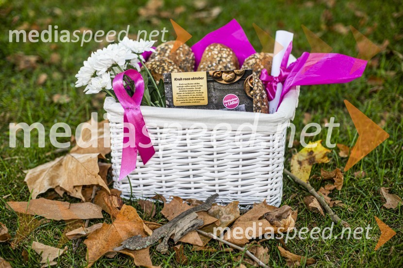 S Kruhom roza oktober skupna podpora za Združenje Europa Donna Slovenija