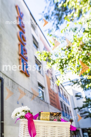 S Kruhom roza oktober skupna podpora za Združenje Europa Donna Slovenija