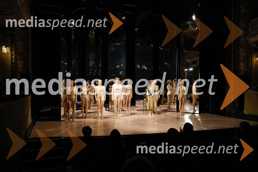  ... ;  ... ;  ... ;  Saša  Pavček, igralka, Predsednica združenja dramskih umetnikov Slovenije, prejemnica Borštnikovega prstana;  Silva Čušin Povše, dramska igralka;  ... Moj mož, premiera predstave