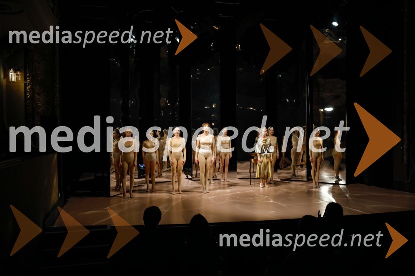  ... ;  ... ;  ... ;  Saša  Pavček, igralka, Predsednica združenja dramskih umetnikov Slovenije, prejemnica Borštnikovega prstana;  Silva Čušin Povše, dramska igralka;  ... Moj mož, premiera predstave