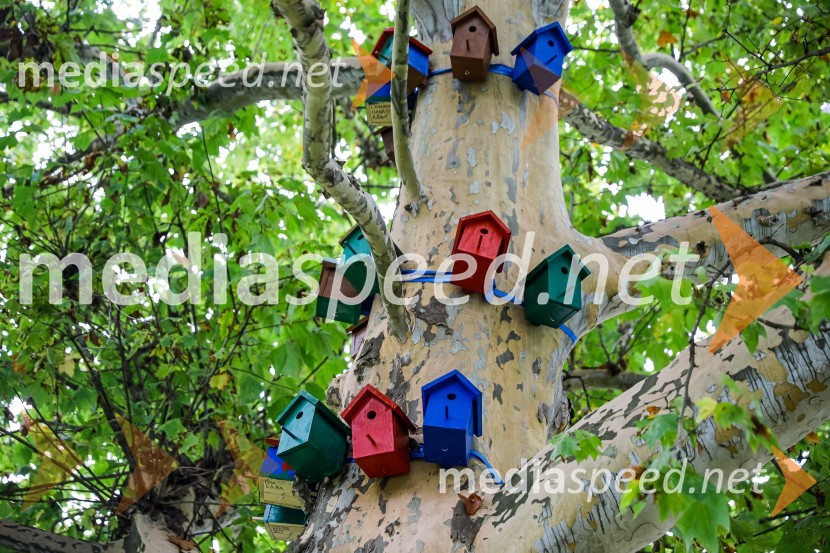 Otvoritev razstave Ptičje hišice v Kranju