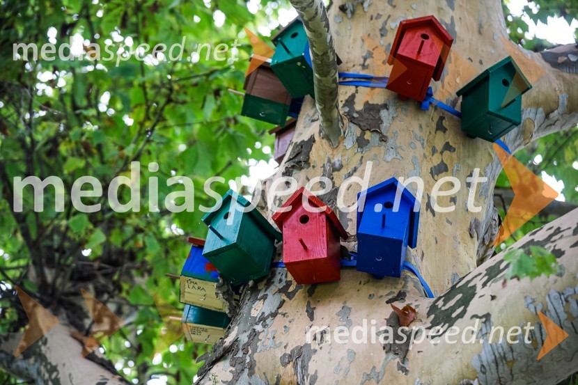 Otvoritev razstave Ptičje hišice v Kranju