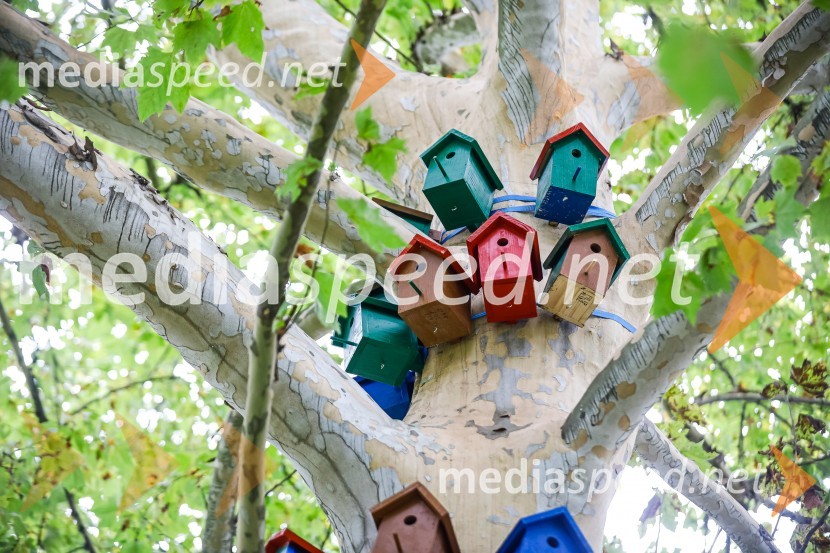 Otvoritev razstave Ptičje hišice v Kranju