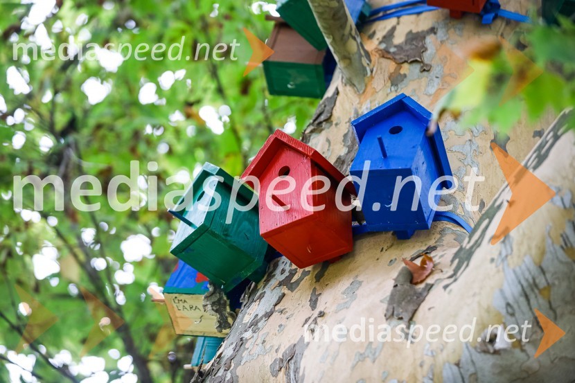 Otvoritev razstave Ptičje hišice v Kranju