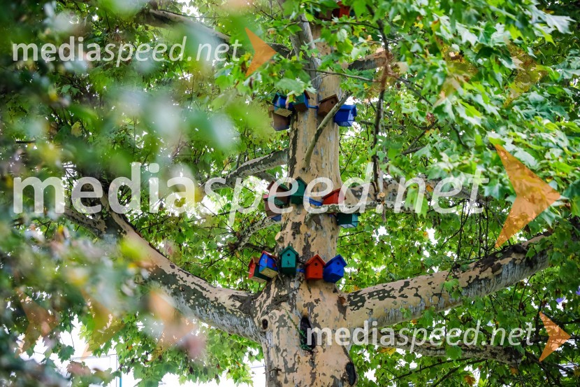 Otvoritev razstave Ptičje hišice v Kranju