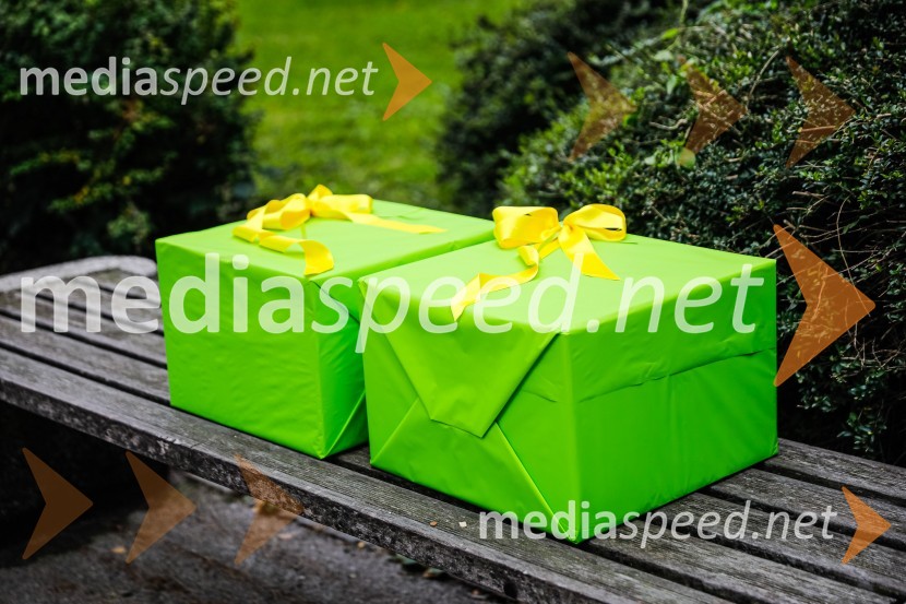 Otvoritev razstave Ptičje hišice v Kranju