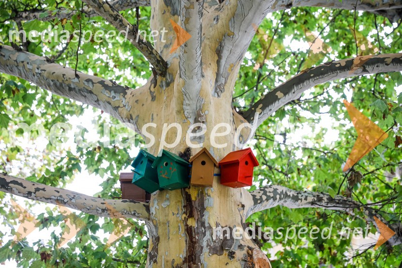 Otvoritev razstave Ptičje hišice v Kranju