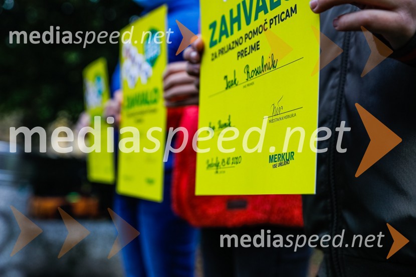 Otvoritev razstave Ptičje hišice v Kranju