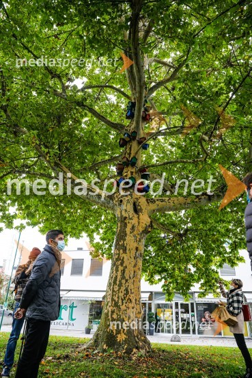  Matjaž Rakovec, župan Mestne občine KranjOtvoritev razstave Ptičje hišice v Kranju
