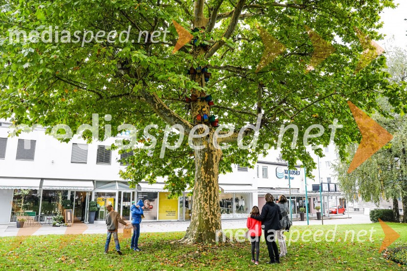 Otvoritev razstave Ptičje hišice v Kranju