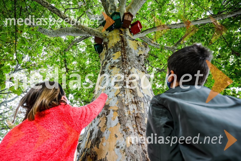  Lili Lovrečić;  ... Otvoritev razstave Ptičje hišice v Kranju