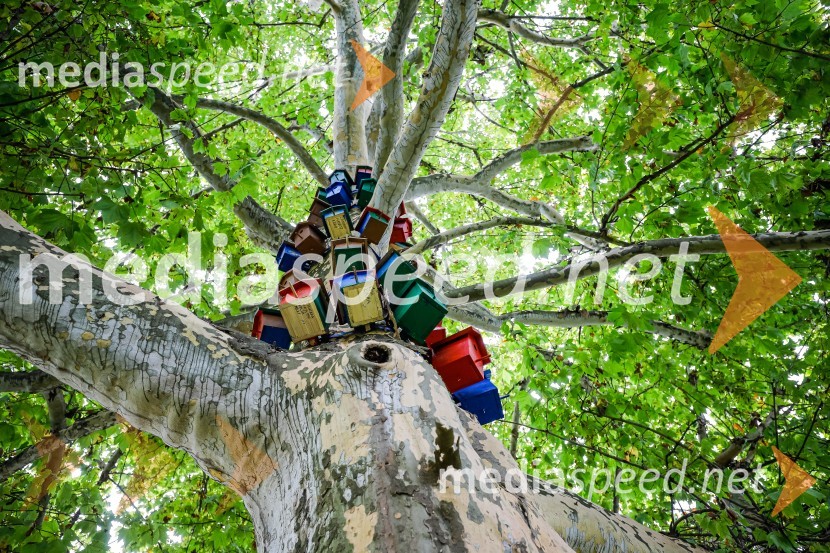 Otvoritev razstave Ptičje hišice v Kranju