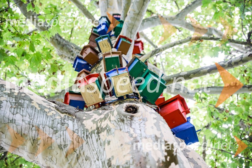 Otvoritev razstave Ptičje hišice v Kranju