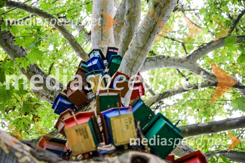 Otvoritev razstave Ptičje hišice v Kranju