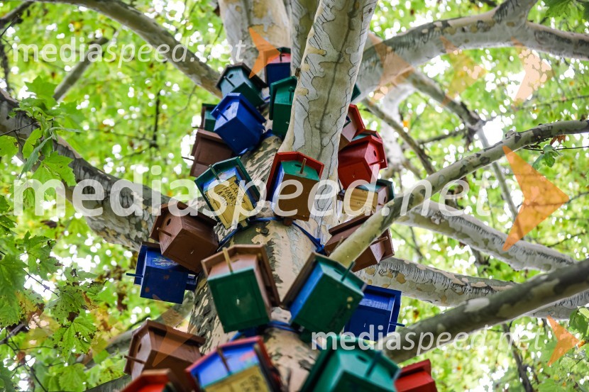 Otvoritev razstave Ptičje hišice v Kranju