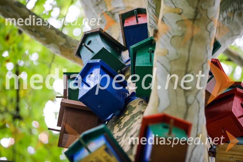 Otvoritev razstave Ptičje hišice v Kranju