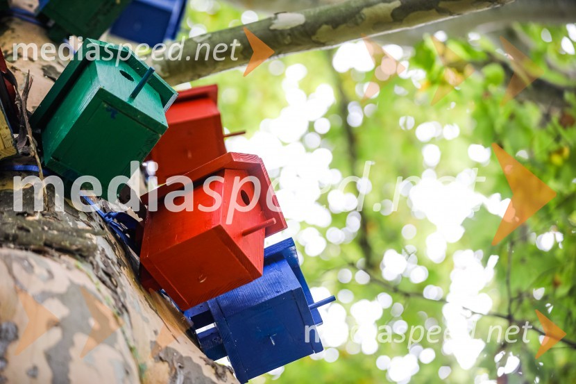 Otvoritev razstave Ptičje hišice v Kranju