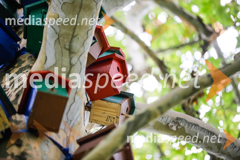 Otvoritev razstave Ptičje hišice v Kranju