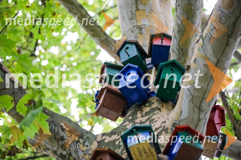 Otvoritev razstave Ptičje hišice v Kranju