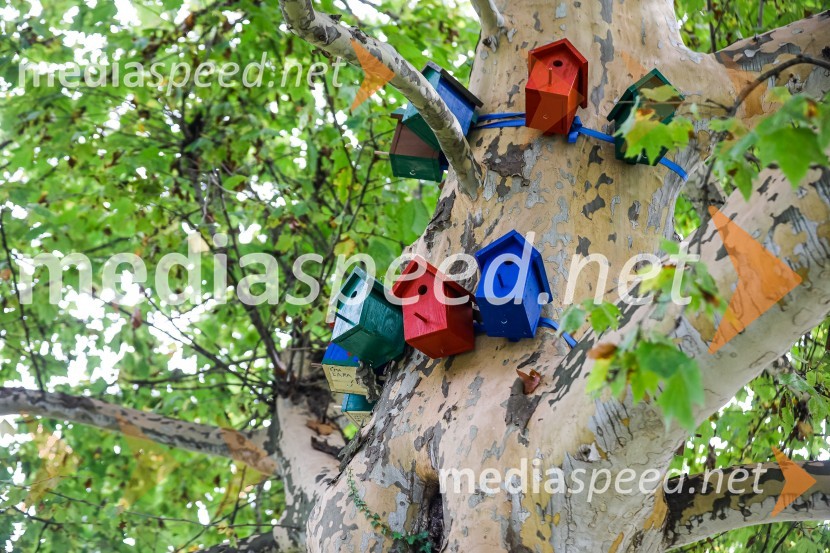 Otvoritev razstave Ptičje hišice v Kranju