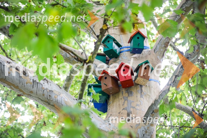 Otvoritev razstave Ptičje hišice v Kranju