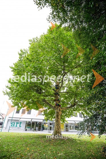 Otvoritev razstave Ptičje hišice v Kranju