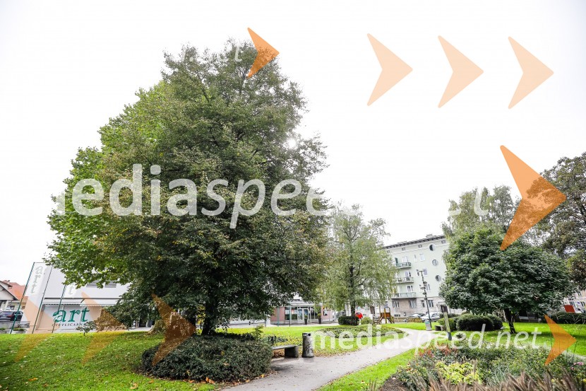 Otvoritev razstave Ptičje hišice v Kranju