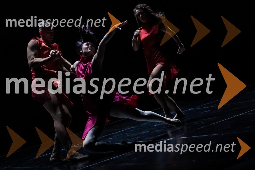 Podelitev Borštnikovega prstana Petru Boštjančiču, 55. Borštnikovo srečanje