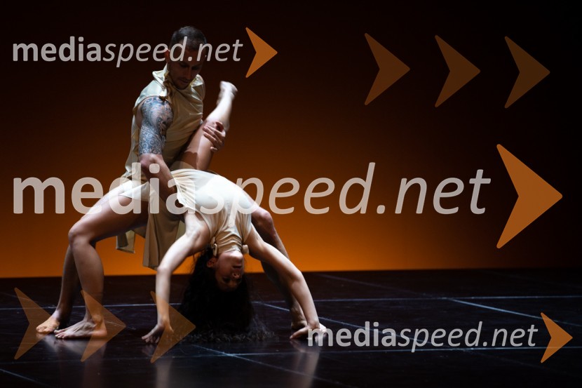 Podelitev Borštnikovega prstana Petru Boštjančiču, 55. Borštnikovo srečanje