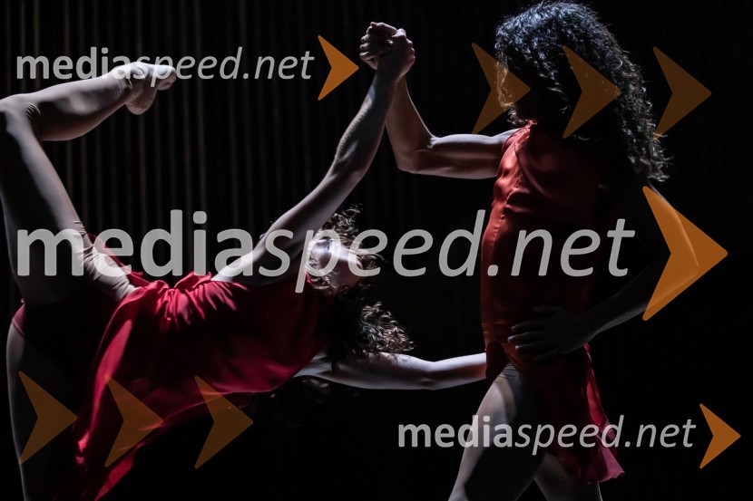 Podelitev Borštnikovega prstana Petru Boštjančiču, 55. Borštnikovo srečanje