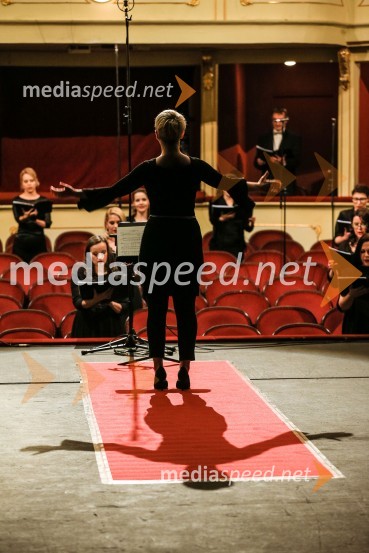  Zsuzsa Budavari Novak, zborovodkinjaBožični koncert zbora Opere SNG Maribor