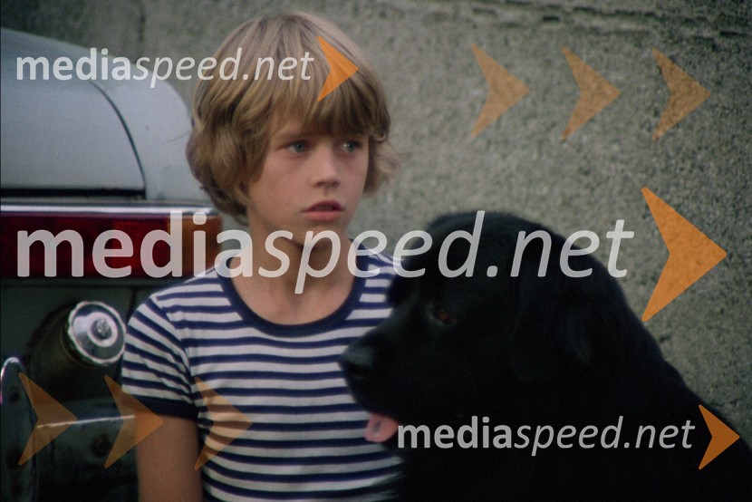 Matic - glavna vloga, Jakob - NovofundlandecSreča na vrvici - digitalno restavirana filmska klasika