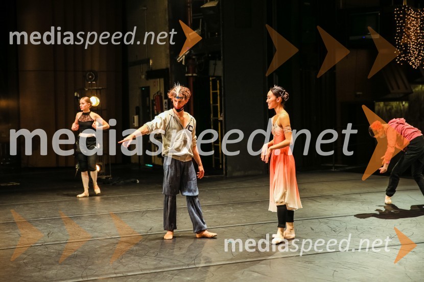 Baletni gala SNG Maribor