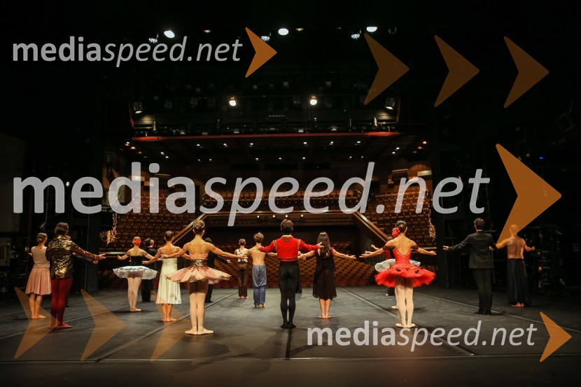 Baletni gala SNG Maribor