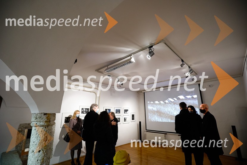 Prešernov dan v Kranju