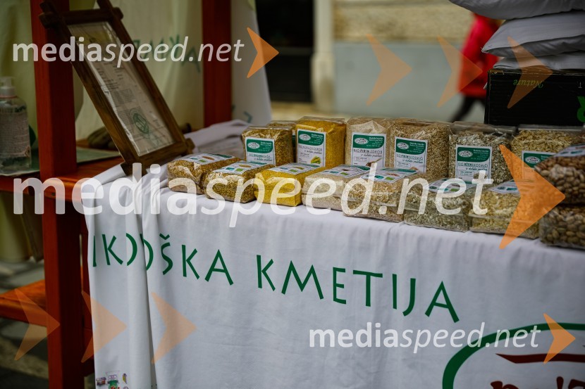 Prešernov dan v Kranju