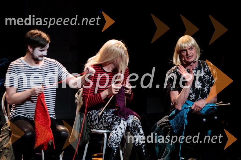 Nasprotje stvari, predstava, Slovensko mladinsko gledališče