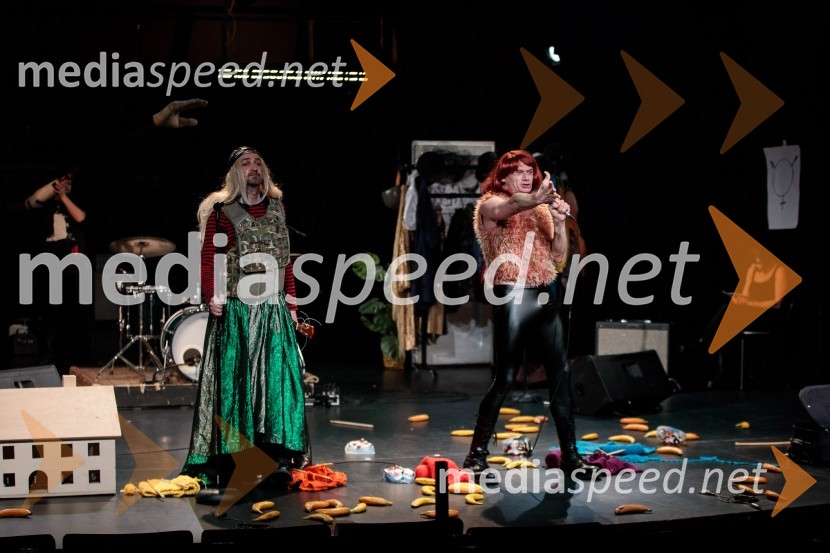 Nasprotje stvari, predstava, Slovensko mladinsko gledališče