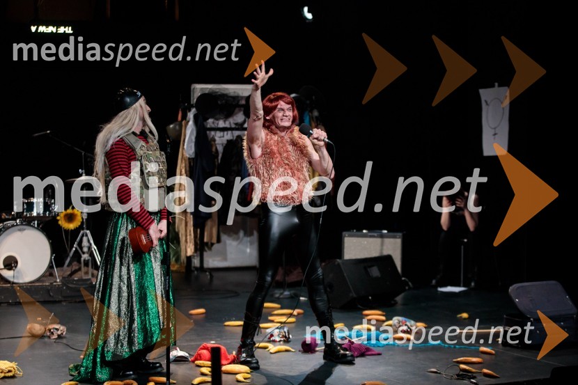 Nasprotje stvari, predstava, Slovensko mladinsko gledališče