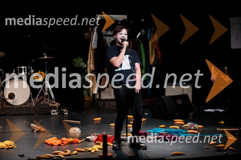 Nasprotje stvari, predstava, Slovensko mladinsko gledališče