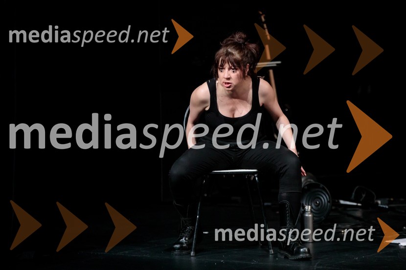 Nasprotje stvari, predstava, Slovensko mladinsko gledališče