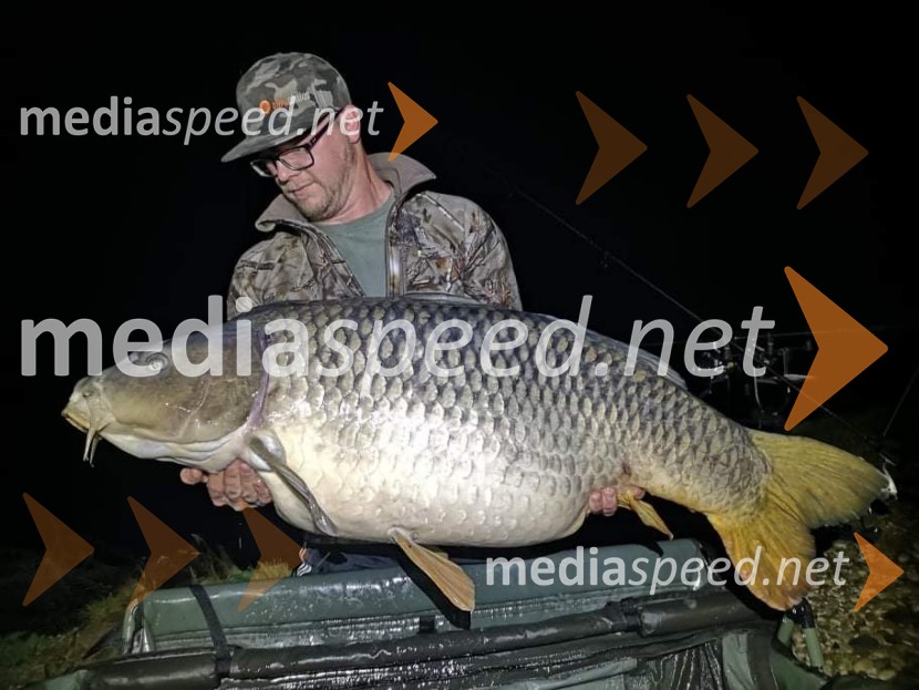 Kapitalne ribe v slovenskih vodah