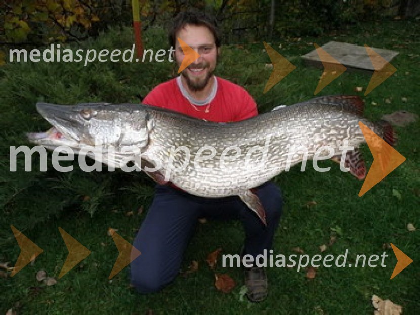 Kapitalne ribe v slovenskih vodah