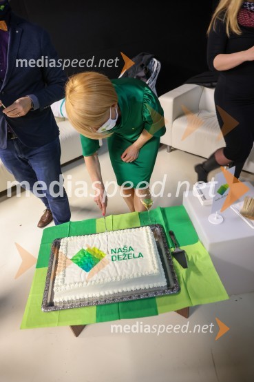 dr. Aleksandra Pivec, stranka Naša dežela, predsednicaNaša dežela, ustanovitvena seja stranke Aleksandre Pivec