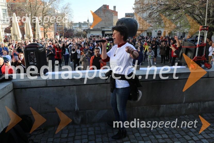 Protest proti ukrepom za preprečevanje COVID 19