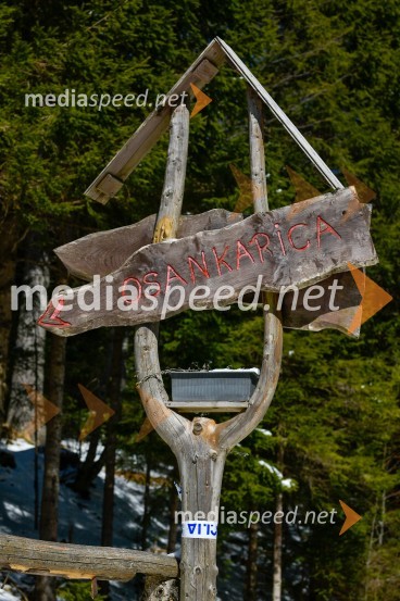 Dom na Osankarici, dan po požaru