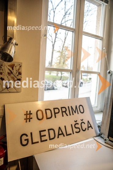 Rokova modrina, predstava Slovenskega Mladinskega gledališča