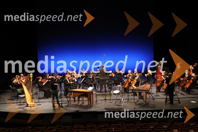 Simfonični orkester SNG MariborVesele harmonije razstavljenega orkestra